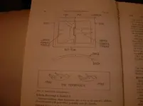 Shoe buckles.webp