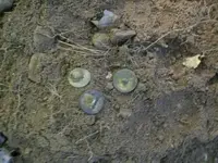 JULY 4TH HUNT WITH FRANK 1794 LARGE CENT 004 [].webp