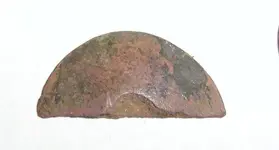 detector finds 006.webp
