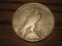 REV1923 Dollar.webp