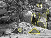 Med Tree near cave Corrected.webp