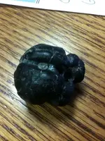 photo.webp