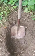 hole.webp