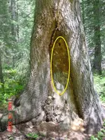 DSC00059[1].webp