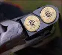 waterfowl_guns.webp
