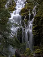 Proxy Falls.webp