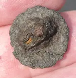 buttonrear.webp