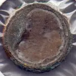 button_back.webp