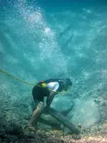 Dom flipping rocks.webp