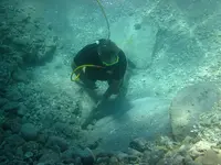 Dom moving rocks.webp