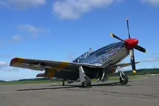 z p51 Warbirds017-20%.webp