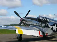 z p51 Warbirds073-20%.webp