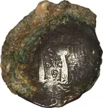 1652 Tansitional.webp