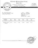 Assay-MonorkaVain.webp