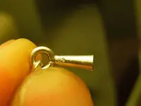 DSCN4237.webp