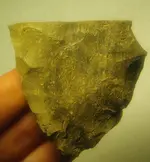 I3010004.webp