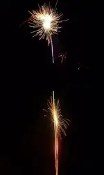 100_3903SMALL.webp