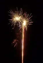 100_3904SMALL.webp