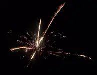 100_3905SMALL.webp