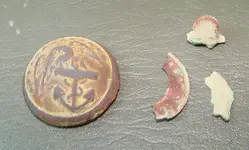 Marine Button.webp