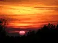 avatar_43365.webp
