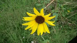 DSC00104.webp