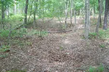100_2252.webp