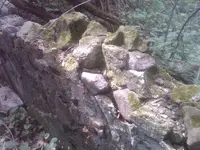 IMG00097-20100719-1611.webp
