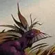 avatar_18072.webp