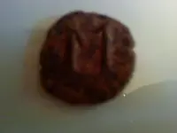 roman coin.webp