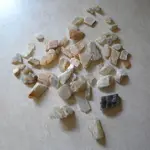 DSCN1012.webp