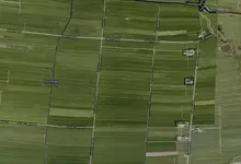 Map.webp