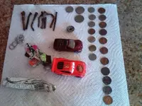 La_Jolla_Beach_Finds_081910.webp