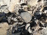 AXE IN CREEK.webp