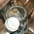 Toro20[1].webp
