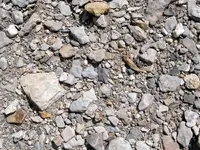 insitu knife.webp