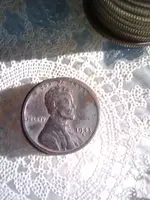 Penny 2.webp