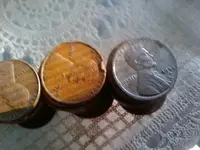 Penny 1.webp