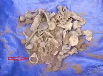 bh 003.JPG_thumb.webp