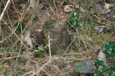 0903 107_1024_684.webp