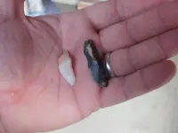 stone5.webp