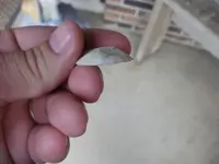 stone9.webp