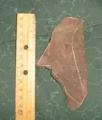 Leaf3.webp