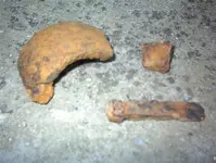 DSC00035.webp