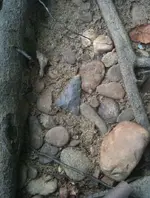 photo[1].webp