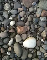 photo[1] (3).webp