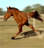 half horsepower.gif