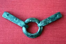 Harness_1[1].webp