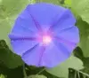 avatar_3622.webp