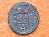 14.webp